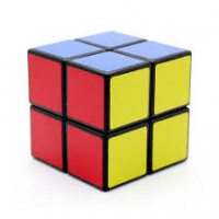 2x2 Shengshou